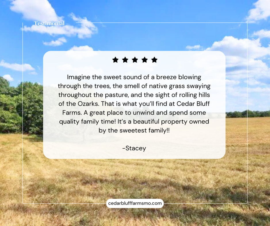 5-star Ozarks retreat review Cedar Bluff Farms Missouri Airbnb, rolling hills native grass pasture breeze family time quality stay sweetest family Springfield Missouri getaway