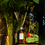 Thumbnail: Jardin de The Diffuser Chabaud 500ml