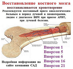 bdf7ec_44817c89fba54e42b05df1e484d50b33