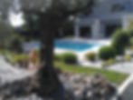 Jardin contemporain avec piscine