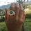 Miniatura: MAYORISTAS. Anillos graduables en oro goldfield. Ref. May. 02