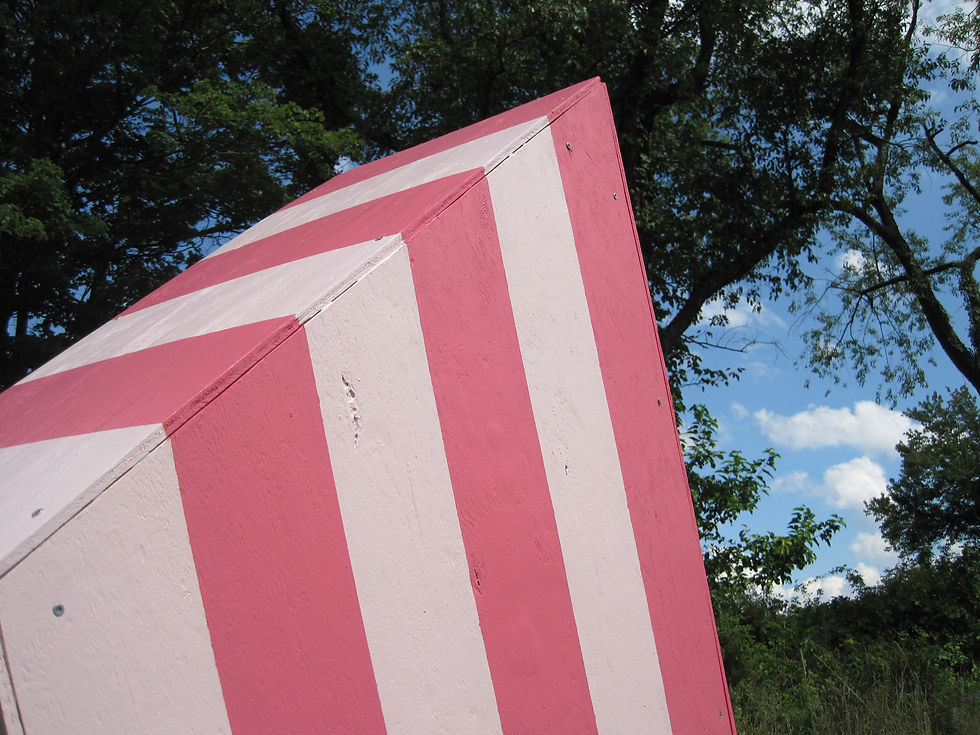 Disrupted Pink