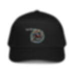 Thumbnail: 5 panel cap
