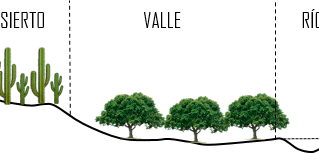 Sección topográfica del paisaje costeño