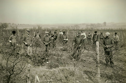 Screenshot 2025-12-20 000246_edited.jpg