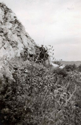 s N.E. Hansen and two assistants gather specimens in their search for hardy peach trees in