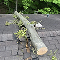Storm-damaged house with a large tree trunk resting on the roof causing visible damage.