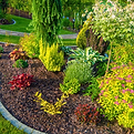 Attractive landscaped yard with lush plants, colorful flowers, and neatly arranged bushes.
