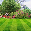 Well-maintained green lawn featuring crisp, straight mowing stripes creating a clean pattern.