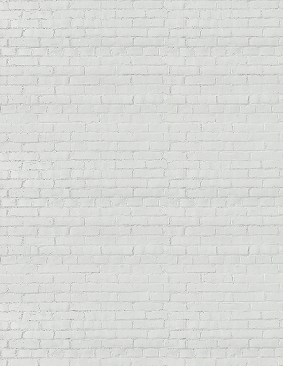 Washington Square Painted Brick.png