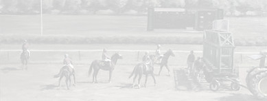 Saratoga_edited.jpg