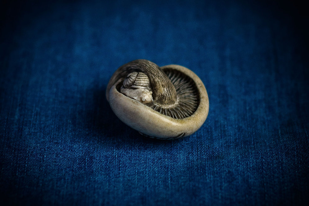 Contemporary carved netsuke Snail under mushroom | Netsuke Market and m