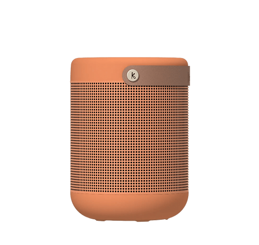 giftagram-holiday-gift-guide-kreafunk-speaker-1.png