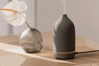 Brand Spotlight: Vitruvi