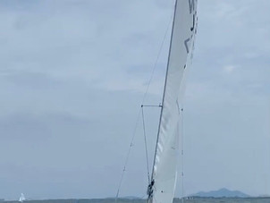 この夏の目標と成果 #11