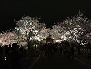 	[短期リレーブログ] 私の好きな〇〇 #6