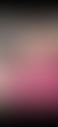 新入生自己紹介 #17