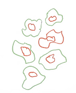 leopard print green orange.png