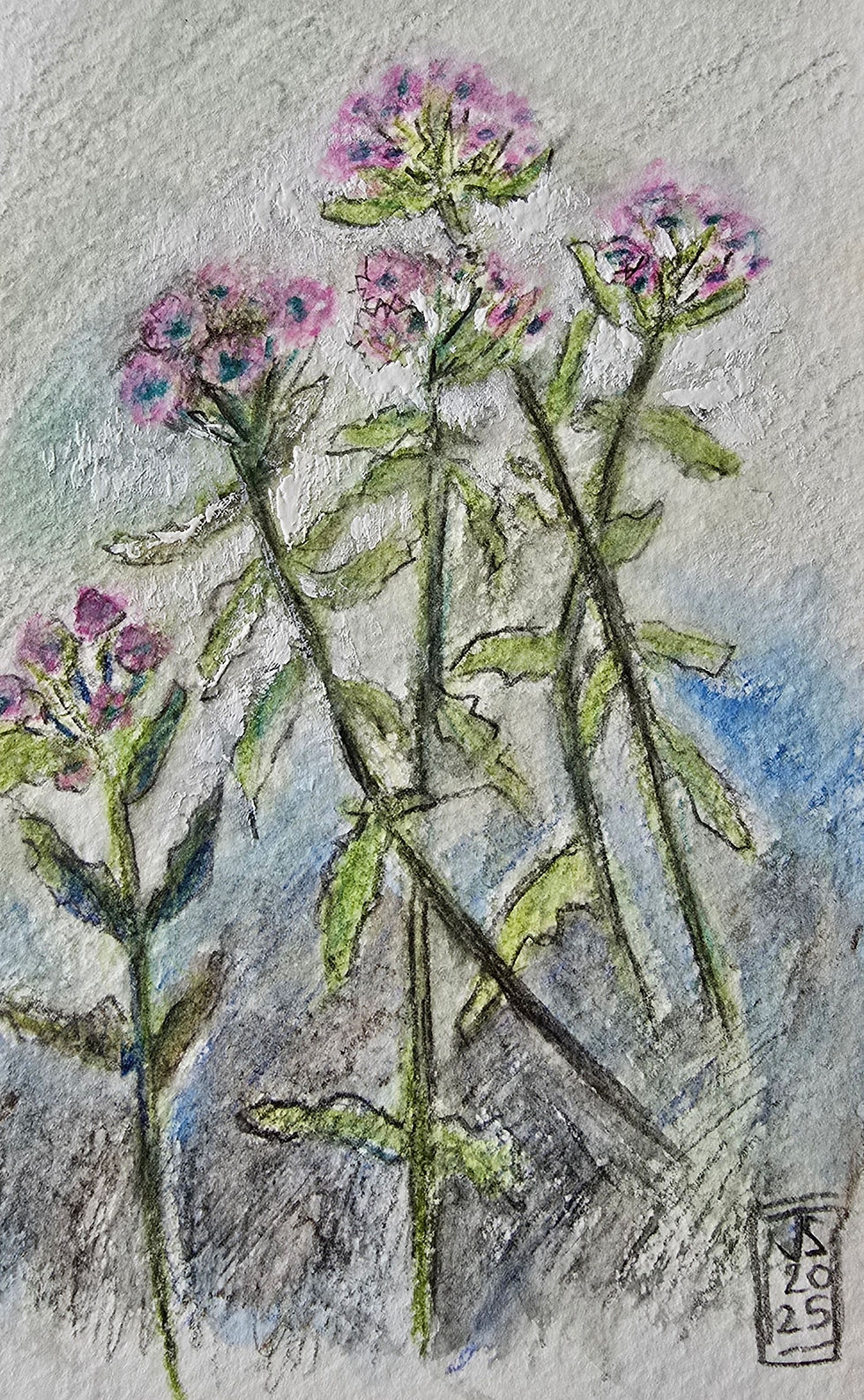 Time to saddle up and ride