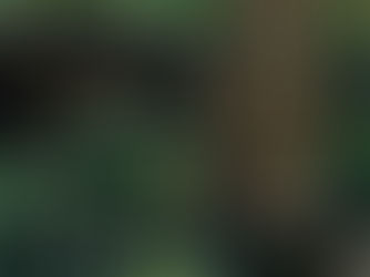 產業龍頭響應ESG,綠色營造新型態