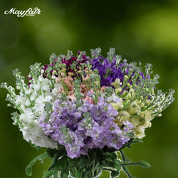 Stock Assorted Super