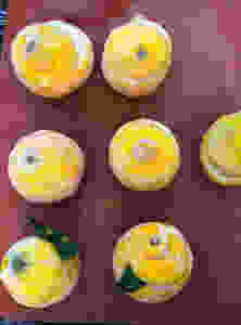 Lemon ice in frozen lemon shells