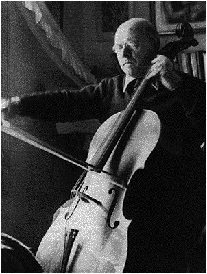Violoncel