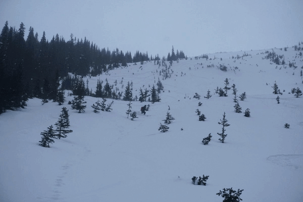 steep creek ski touring