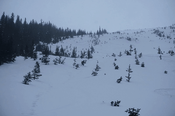 steep creek ski touring