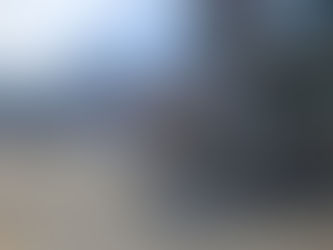 Celebrating Saint Patrick's Day with Unilever and Route 66 Mobile Diner's Irish Feast