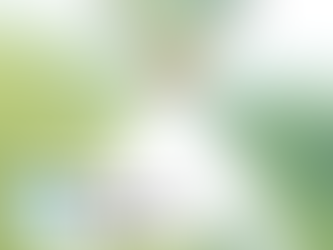 Office for Environment Protection Releases Report  