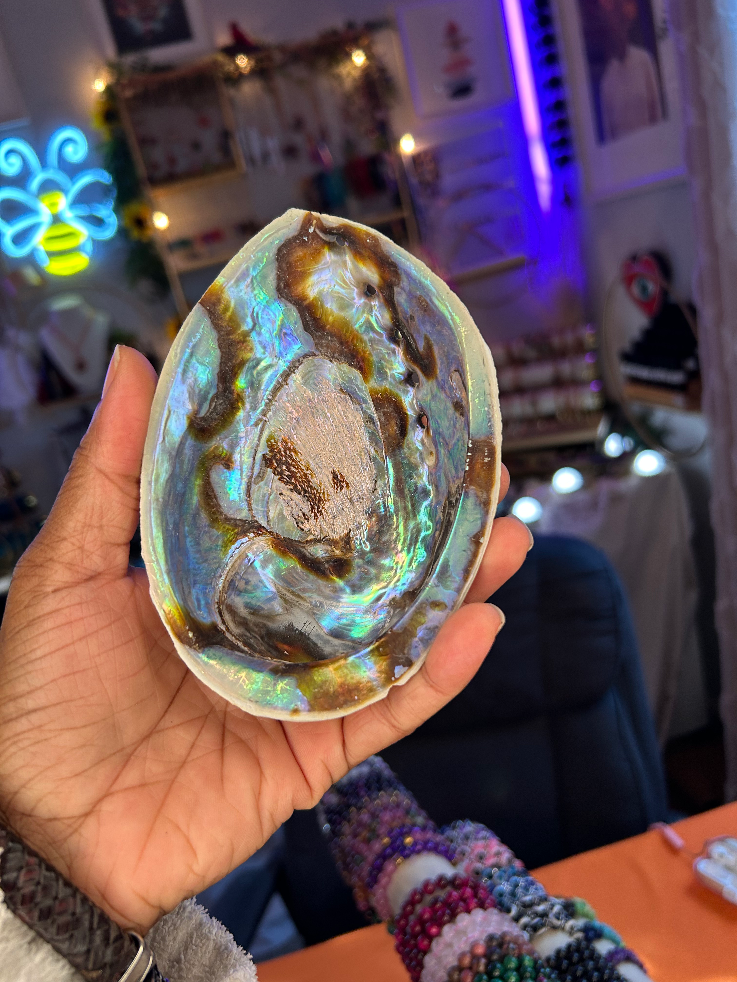 Abalone Shell