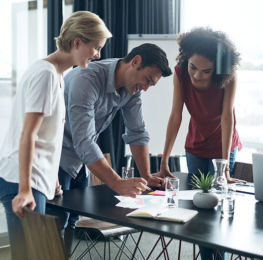 Leadership training for professional