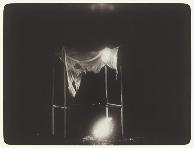 אפרת נתן, פניקס, 2007 עבודת וידיאו צילום: תמר גרינברג