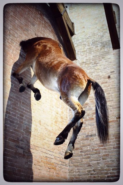 Untitled, Maurizio Cattelan, Punto della Dogana, Venice, Italy