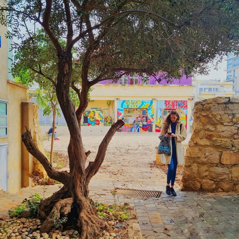 נוה צדק