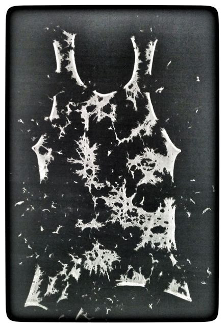 הגופיה הגדולה, 2006