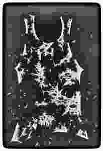 הגופיה הגדולה, 2006