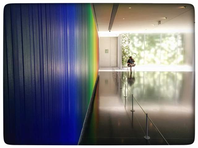 והיתה הקשת, 2010 אולאפור אליסון. צילום: תמר גרינבר