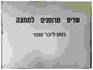 שדים מרוסנים למחצה של האמנית נטע ליבר שפר