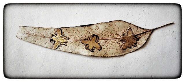  על עלה אקליפטוס יצרה וצילמה: תמר גרינברג Mixed media 