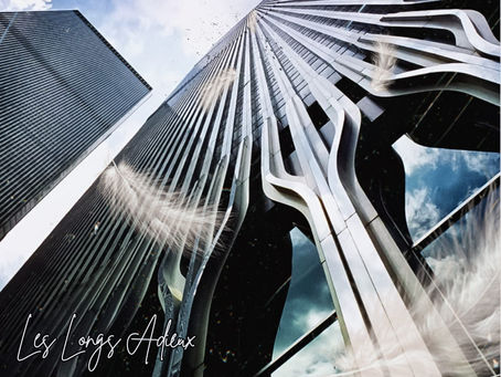 Les Longs Adieux, "Vertigo" Album Review