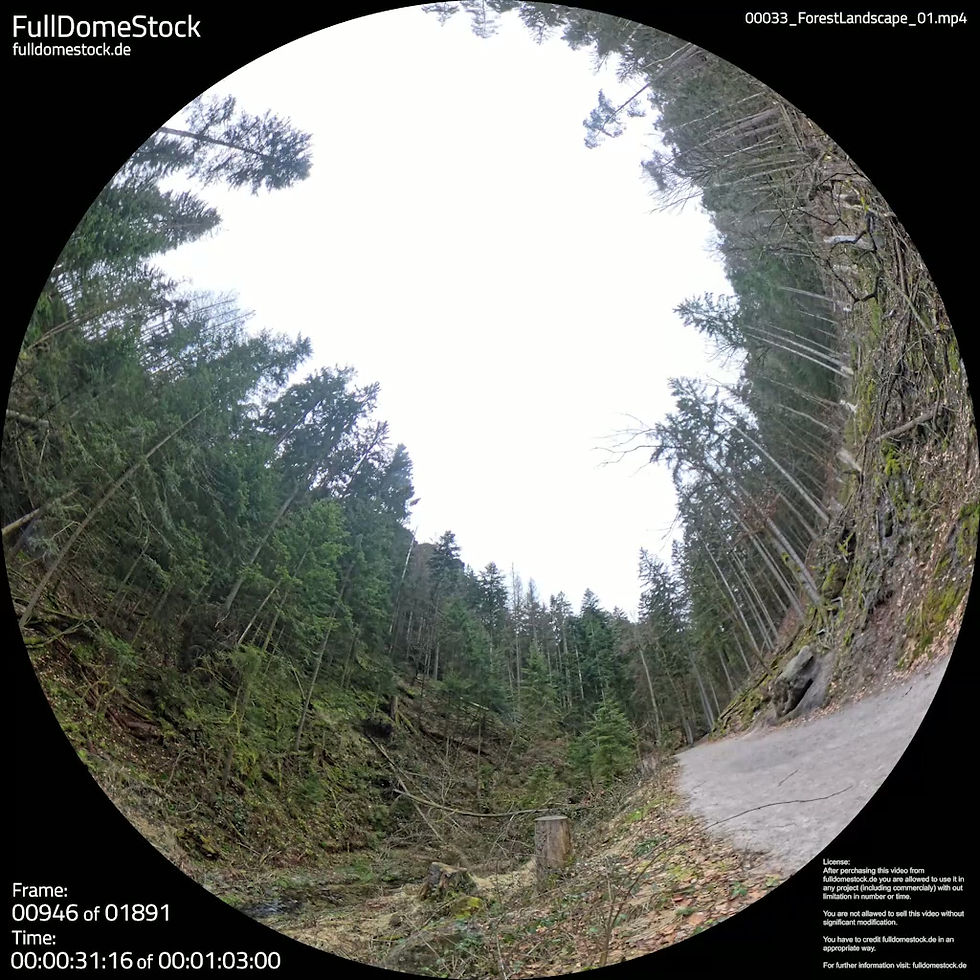Miniaturbild: 00033 Forest Landscape 01
