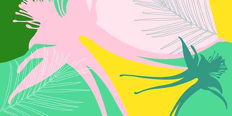 illu_1000x500px_1.png