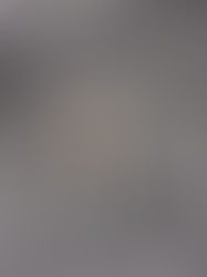 Op de heiligste berg van Hawaii (deel 2)