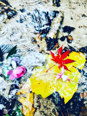 De kracht van het ritueel