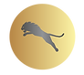 Color logo - no background.png