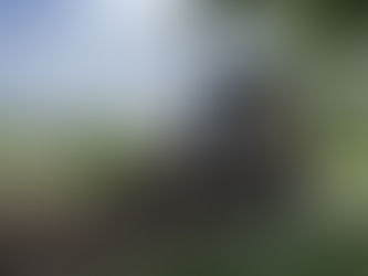 A Day in the Life of a Paving Crew