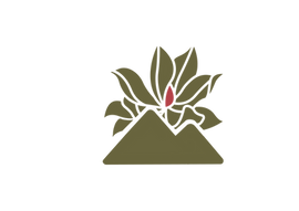 Magnolia and Mountain Branding Image, Summit Counseling
