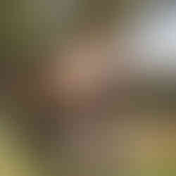 It's Yoga 501 & 502 TT